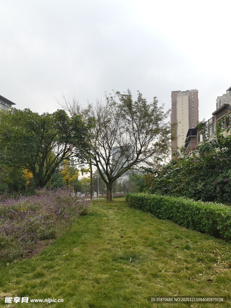 城市中的静谧绿植景观