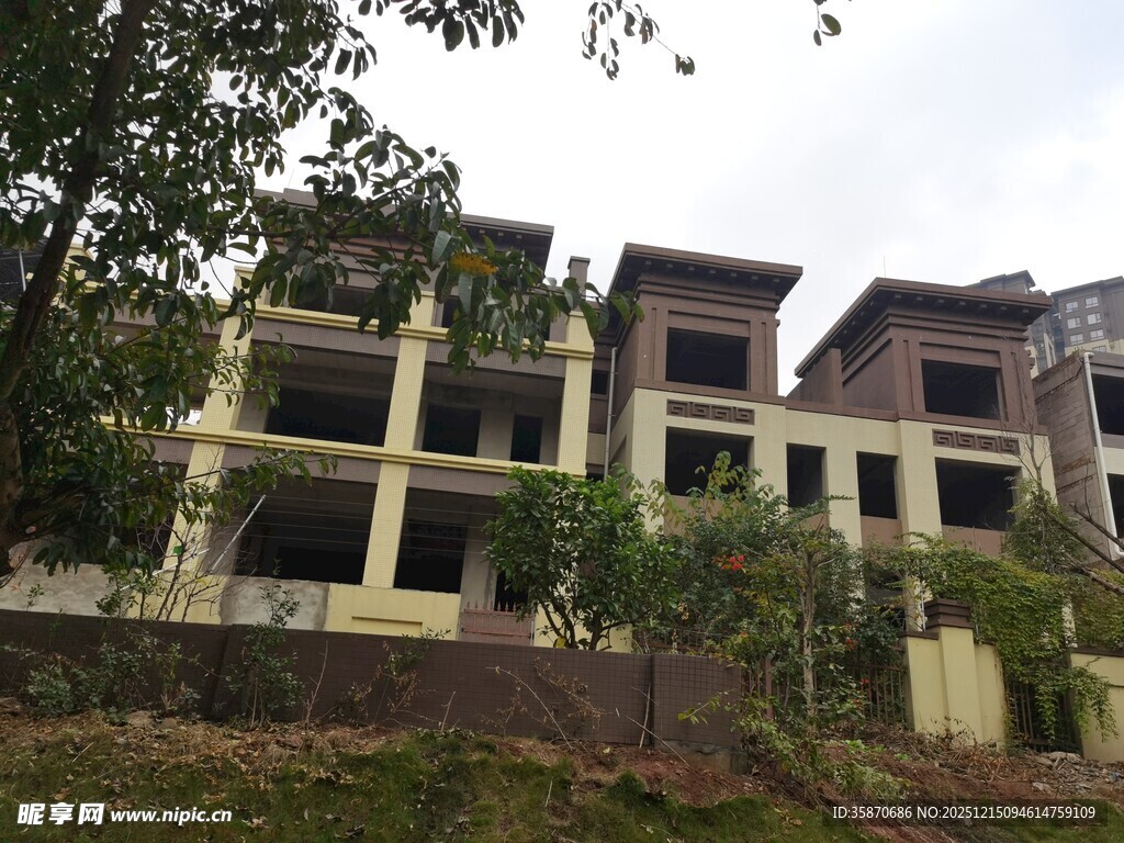 废弃楼房周边绿植环绕