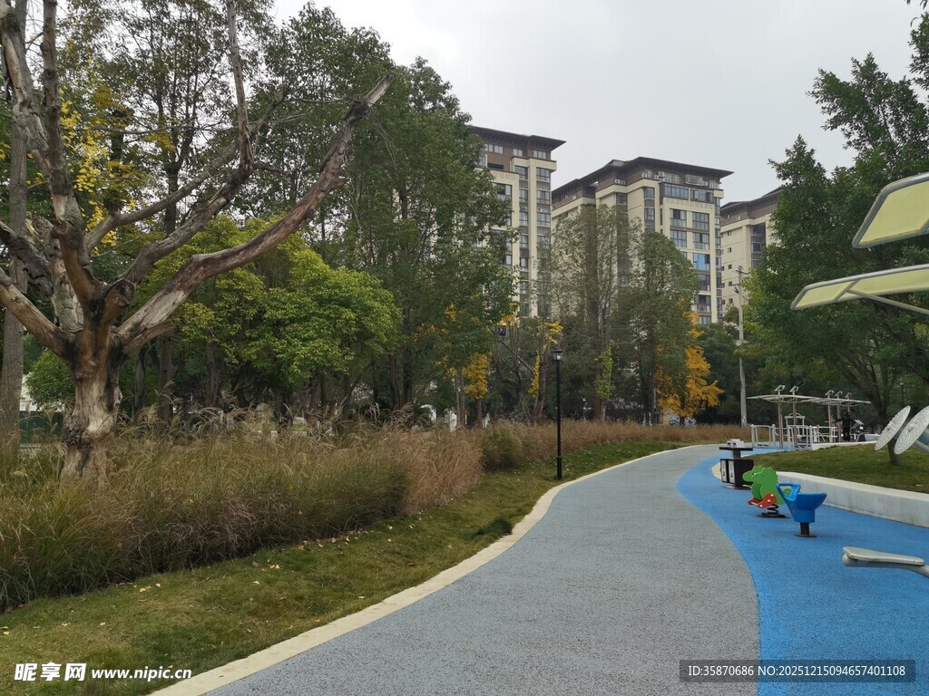 小区内的休闲景观步道