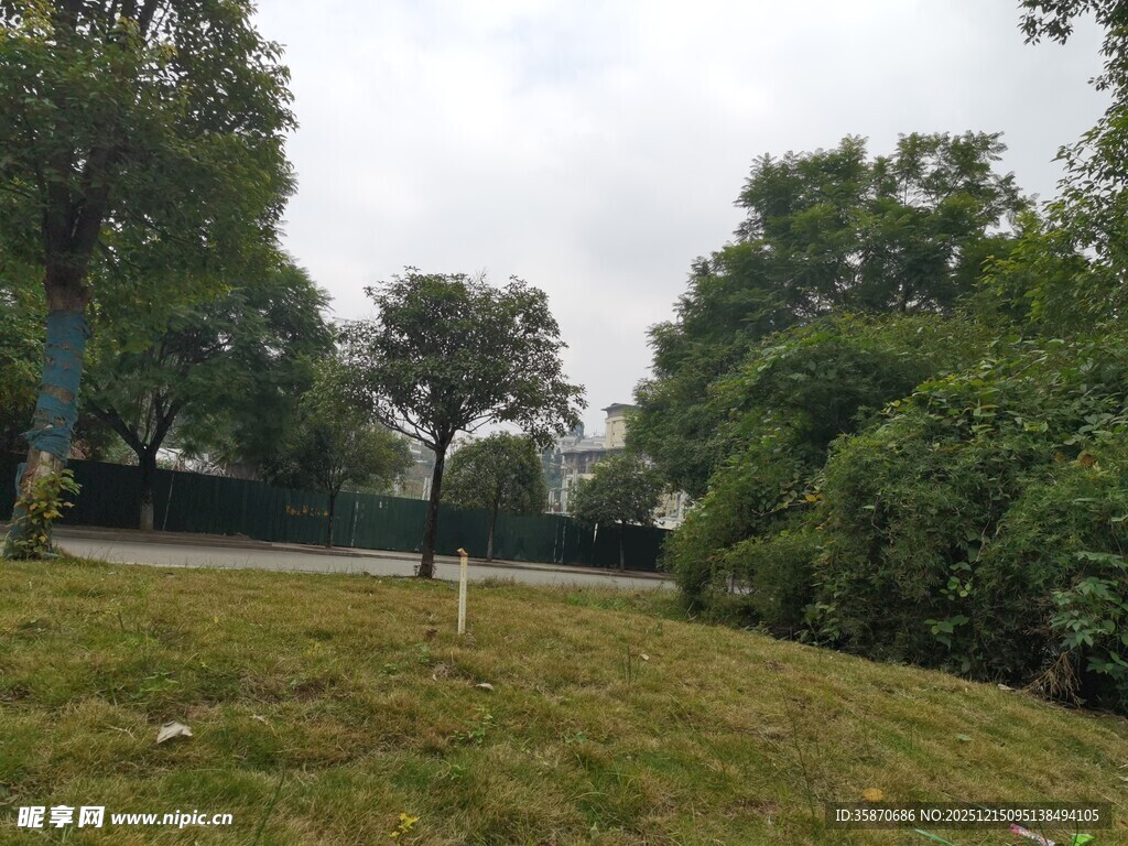 户外绿意盎然的草地景观