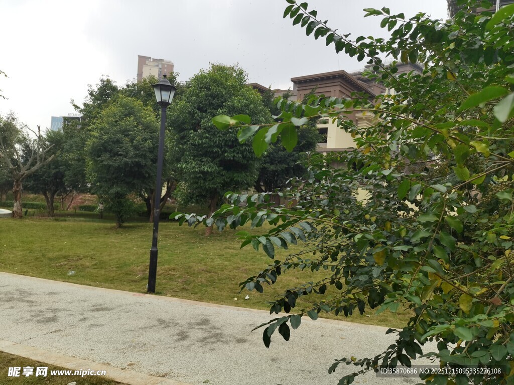 户外绿意盎然的休闲场景