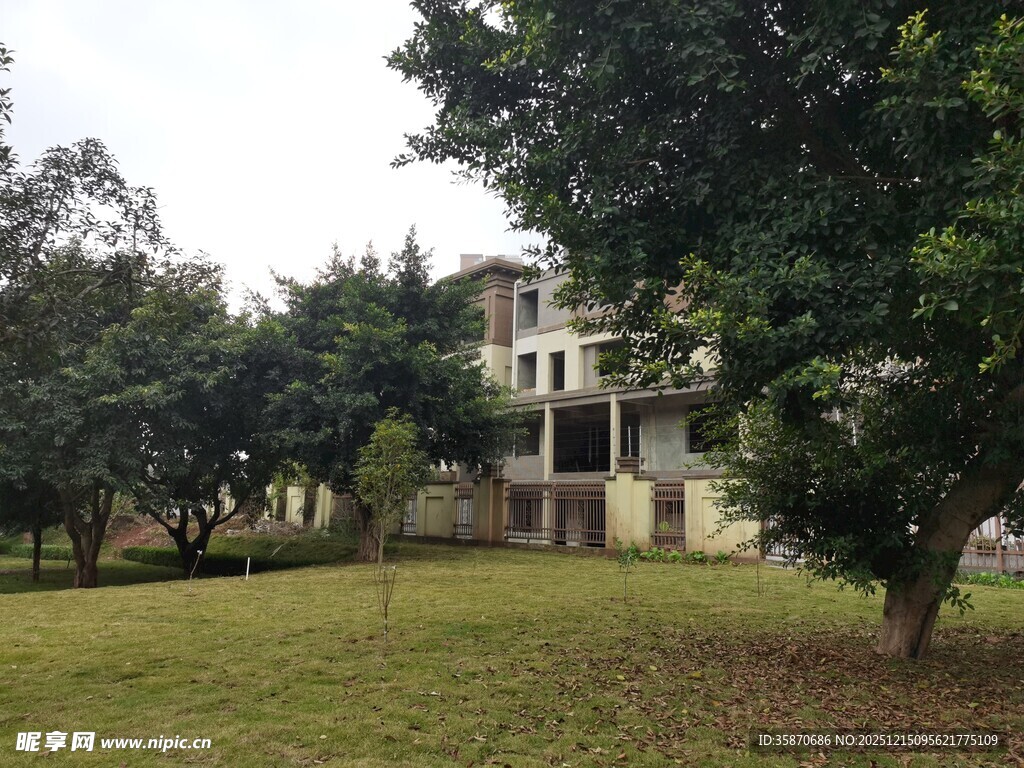 绿树环绕的多层建筑