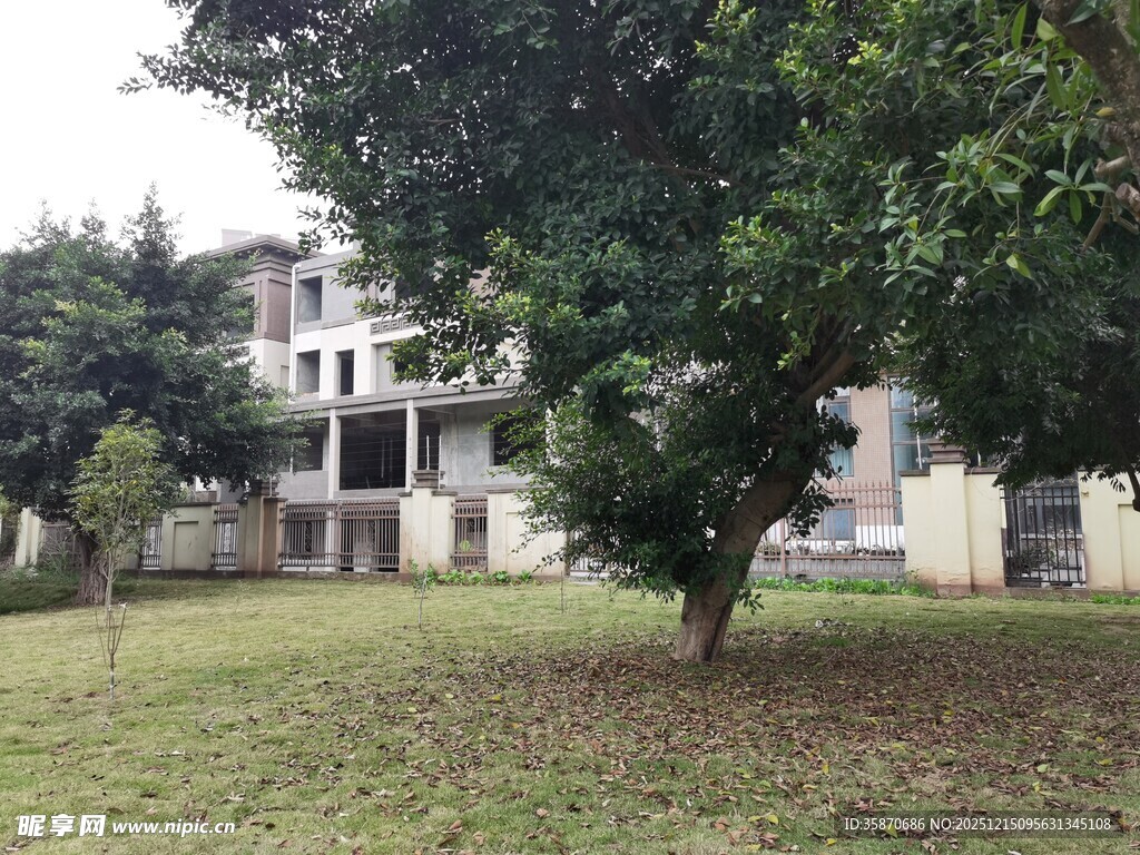 绿树环绕的宁静建筑