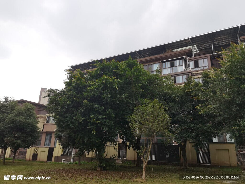 绿树环绕的多层建筑