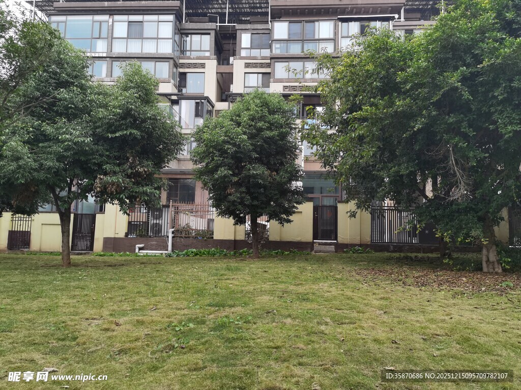 小区内的绿化景观