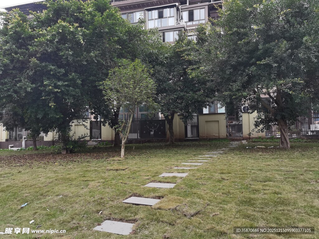 小区内的草地与石板路景观