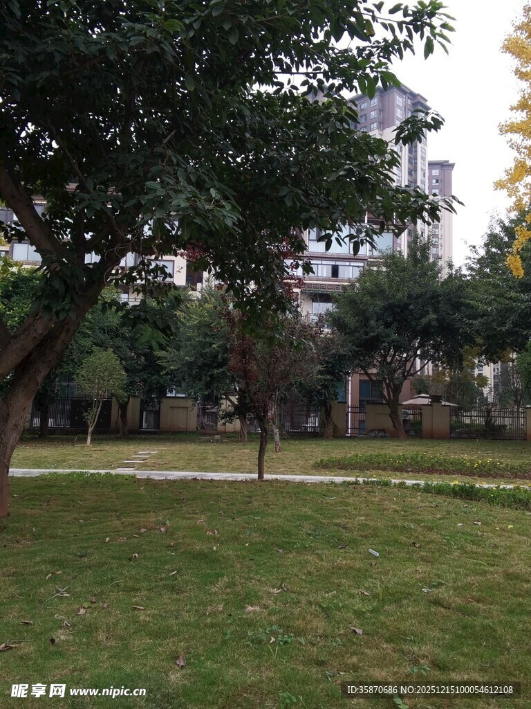 公园草地树木景观