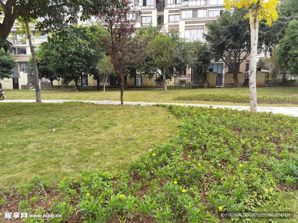 城市中的绿意草坪景观