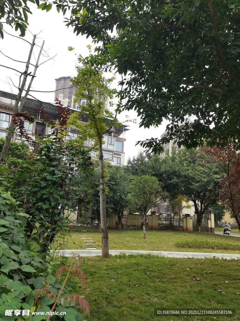 园林景致绿意盎然的角落