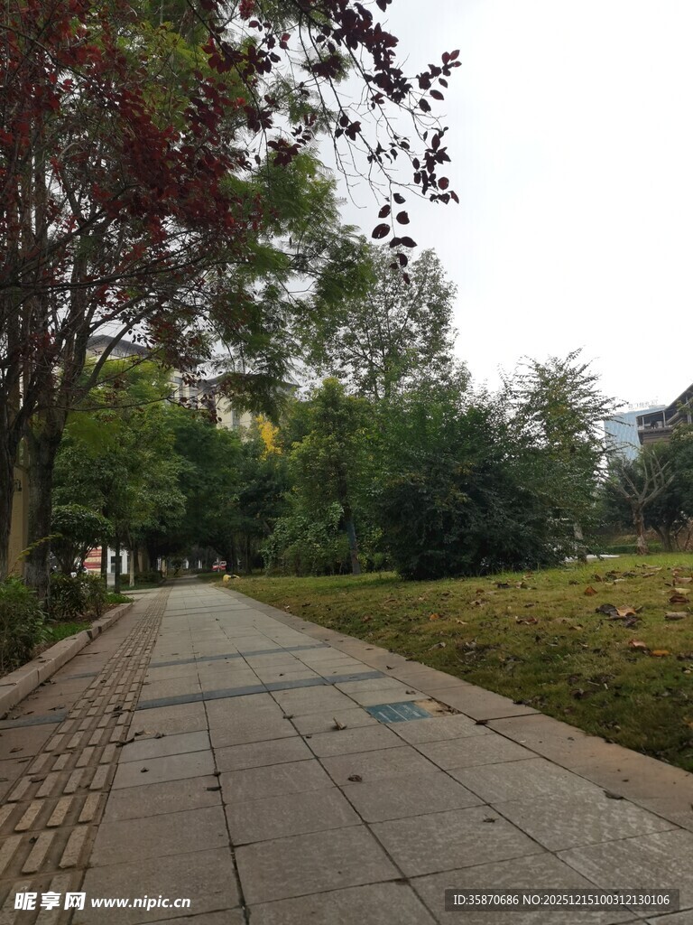 宁静的林间石板小路