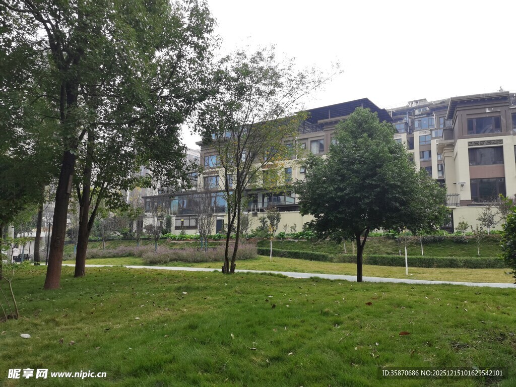 小区内的绿化景观