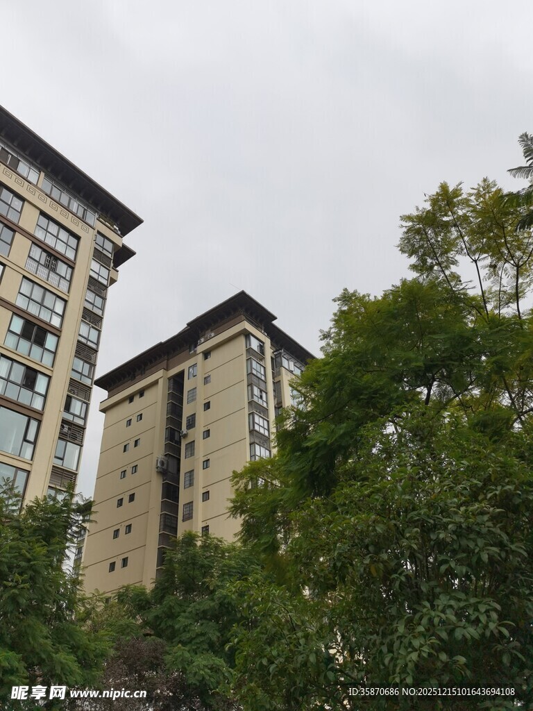 高楼林立于葱郁绿树间
