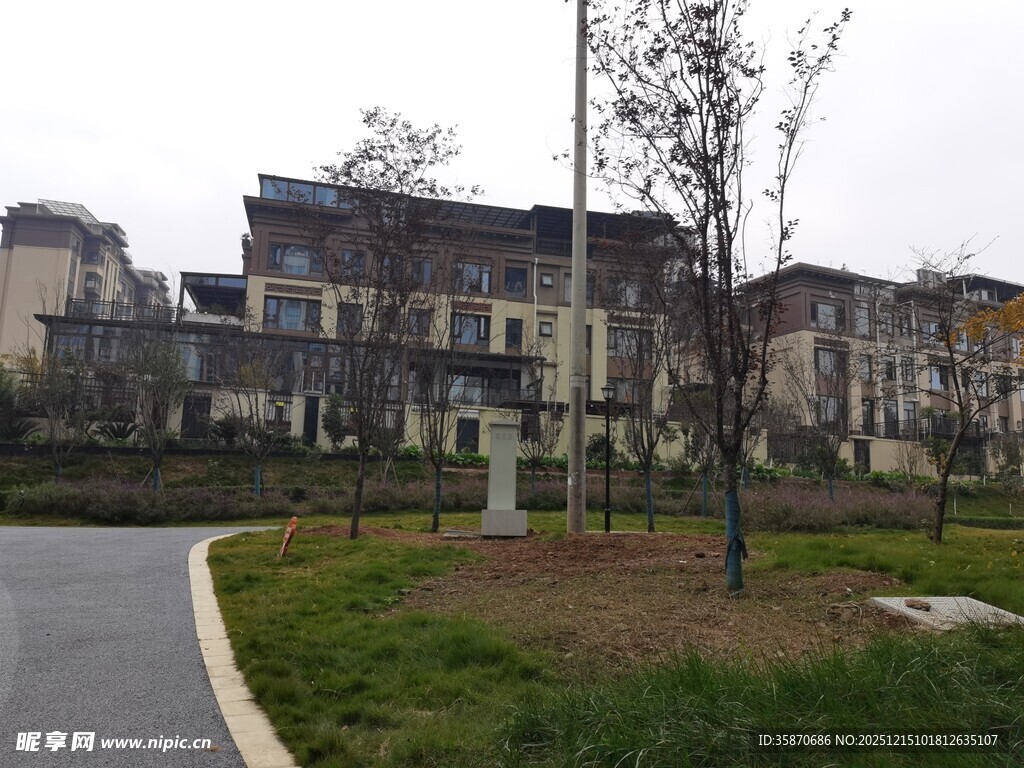 小区景观道路与建筑群