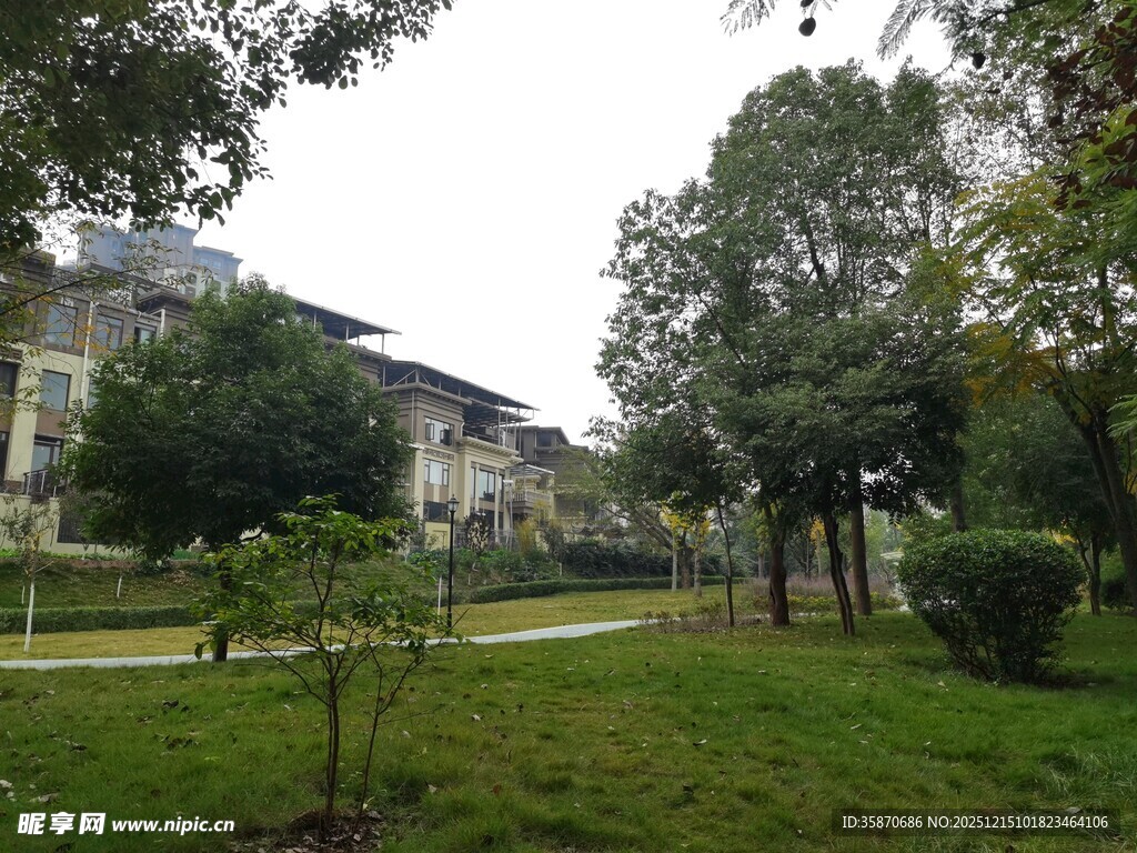 小区内的绿化景观