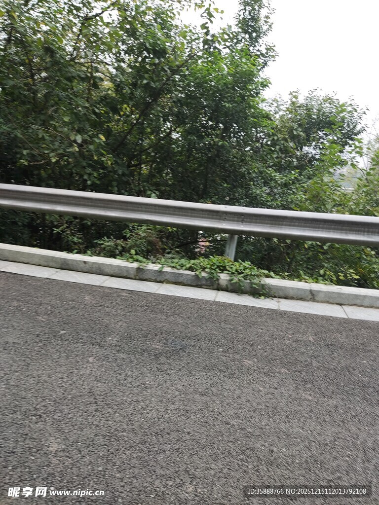 公路旁的护栏与绿植