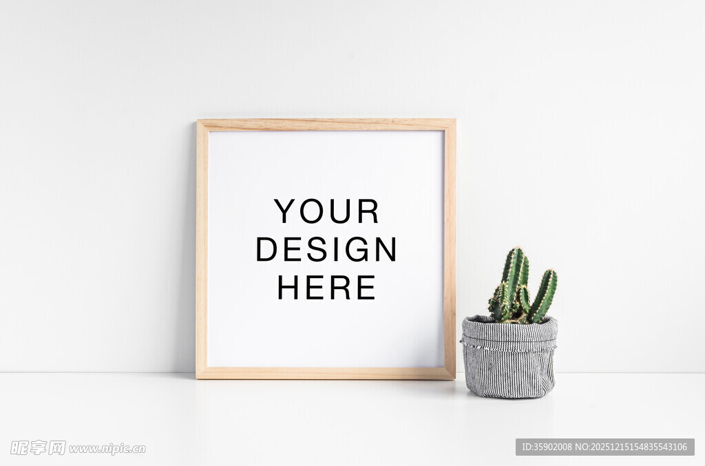 简约画框与仙人掌展示样机