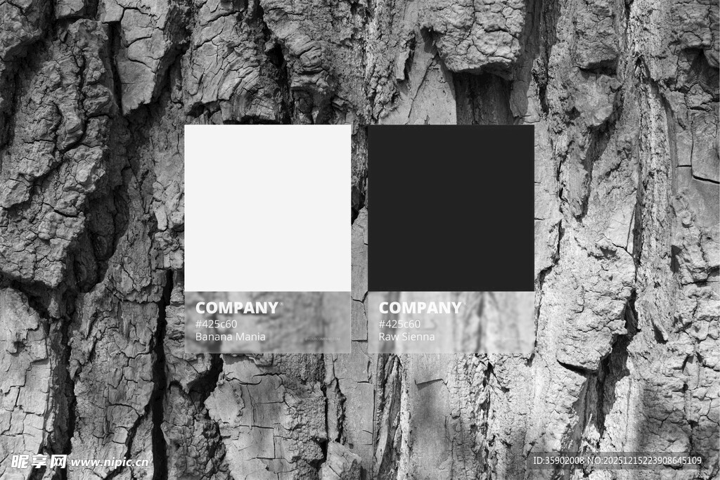 黑白方块贴于粗糙树皮上