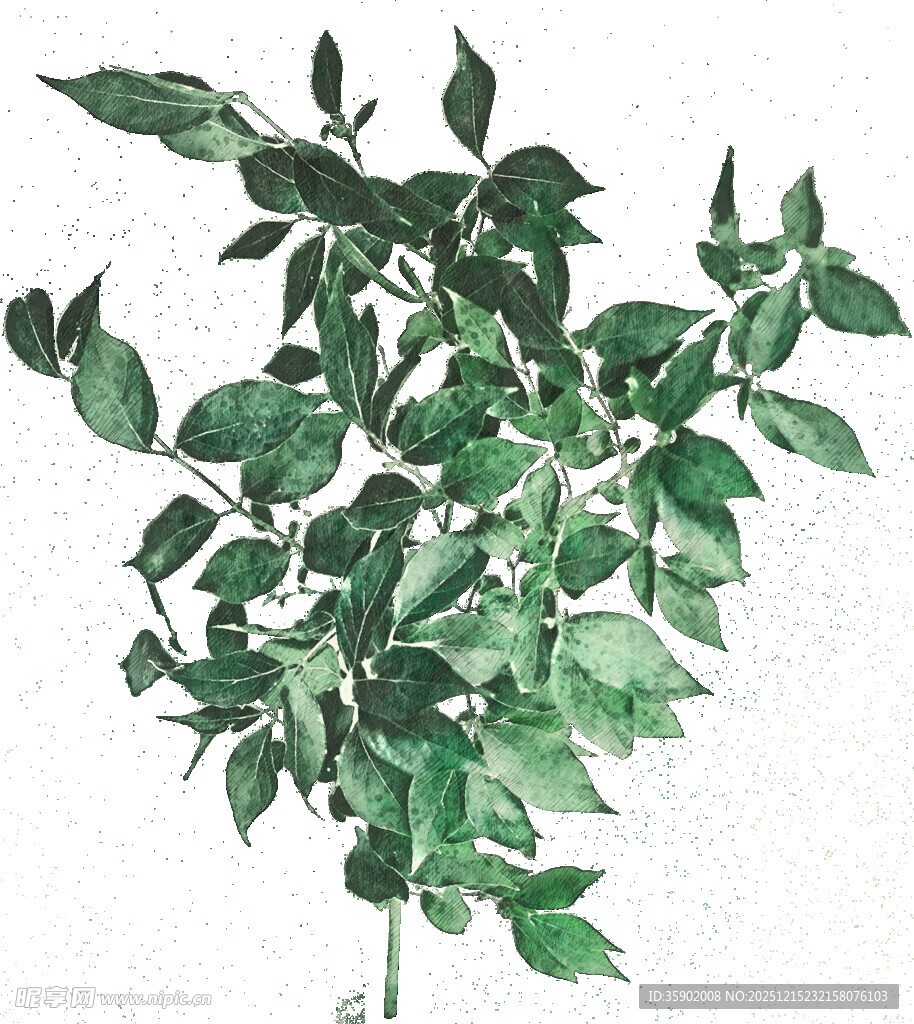 水彩绘绿色枝叶植物图