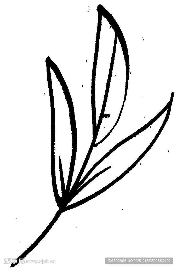 手绘简约叶片线条插画