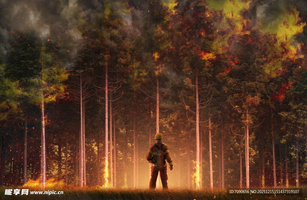 森林中独行者的静谧时刻