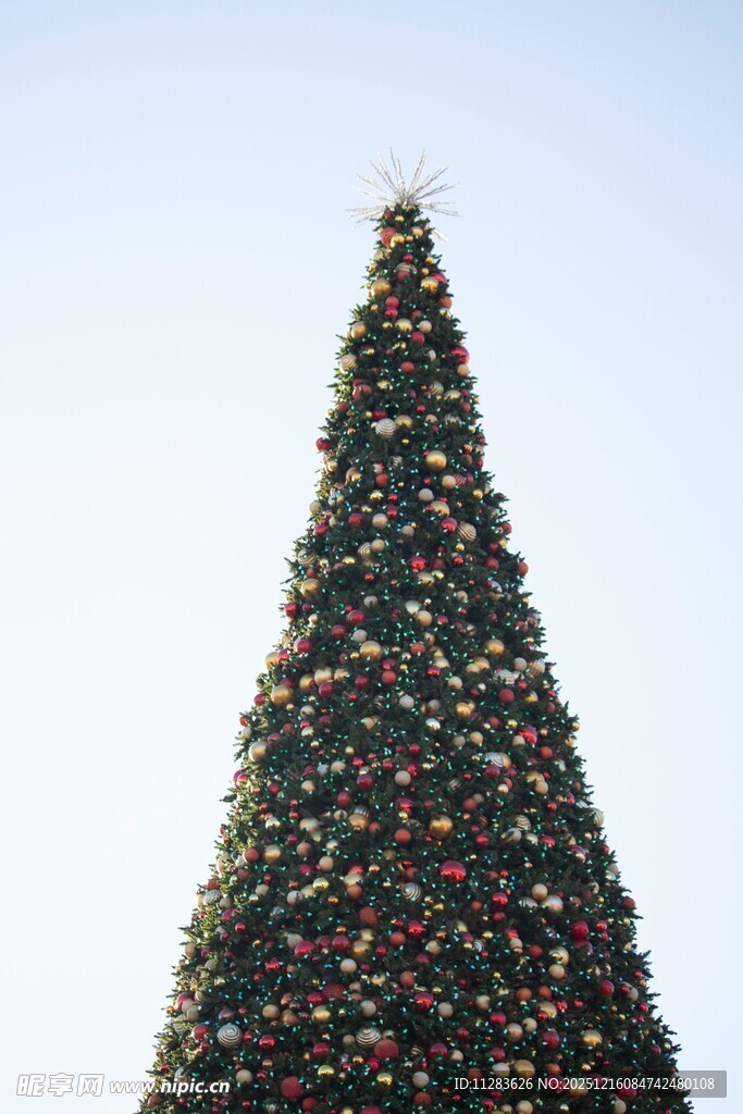 高大圣诞树装饰璀璨
