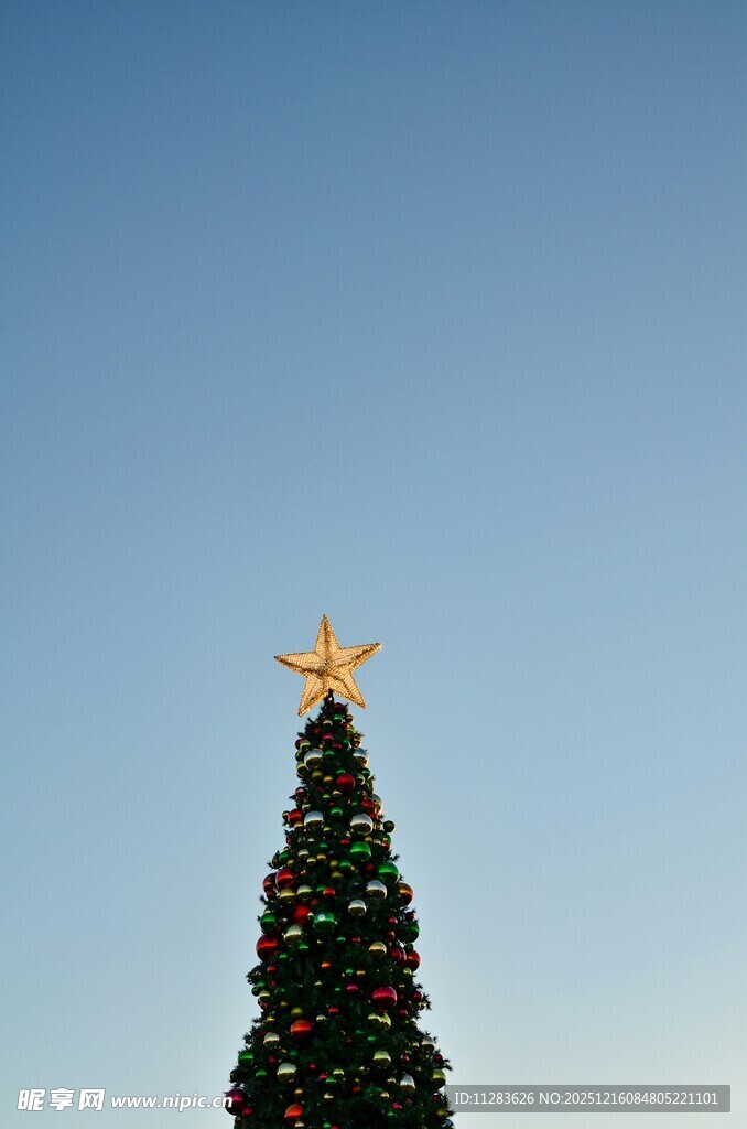 圣诞树顶的金色星星