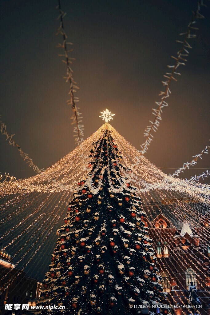 璀璨圣诞树点亮节日夜空