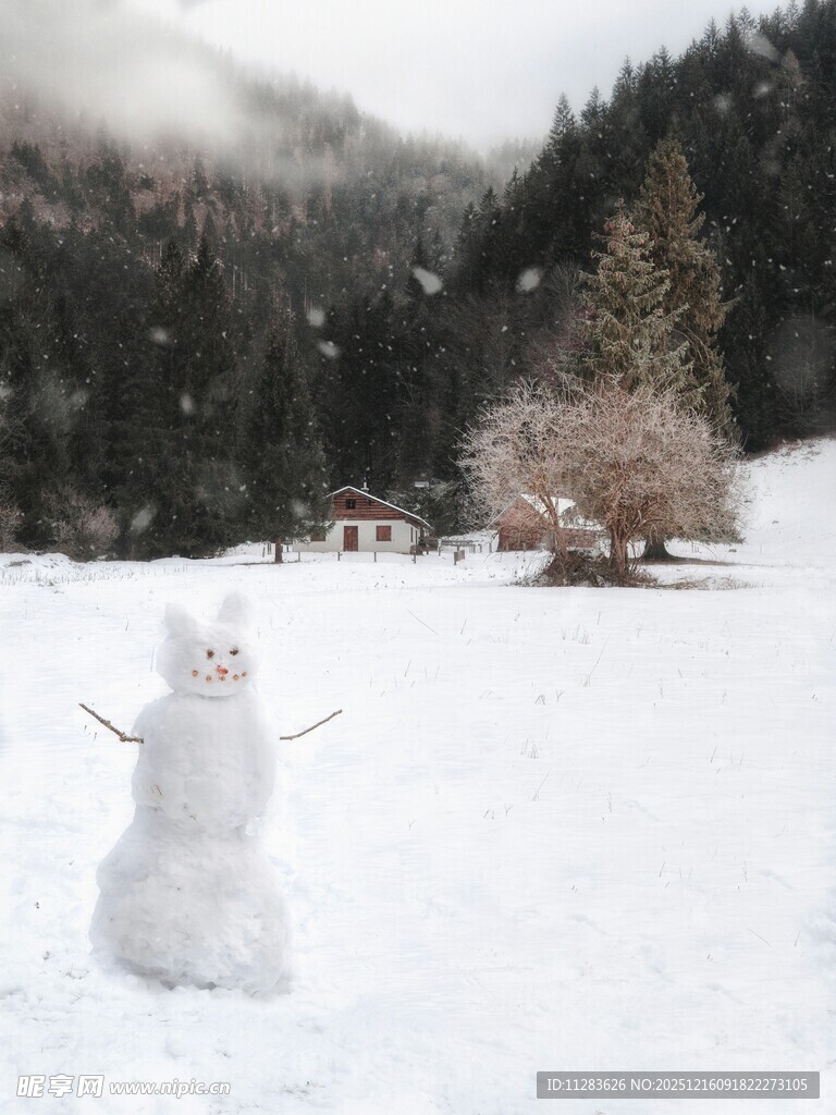 雪地中的可爱雪人