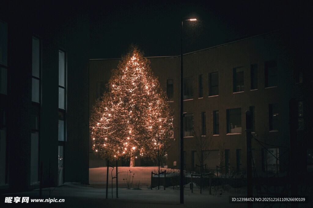 夜晚点亮的璀璨圣诞树