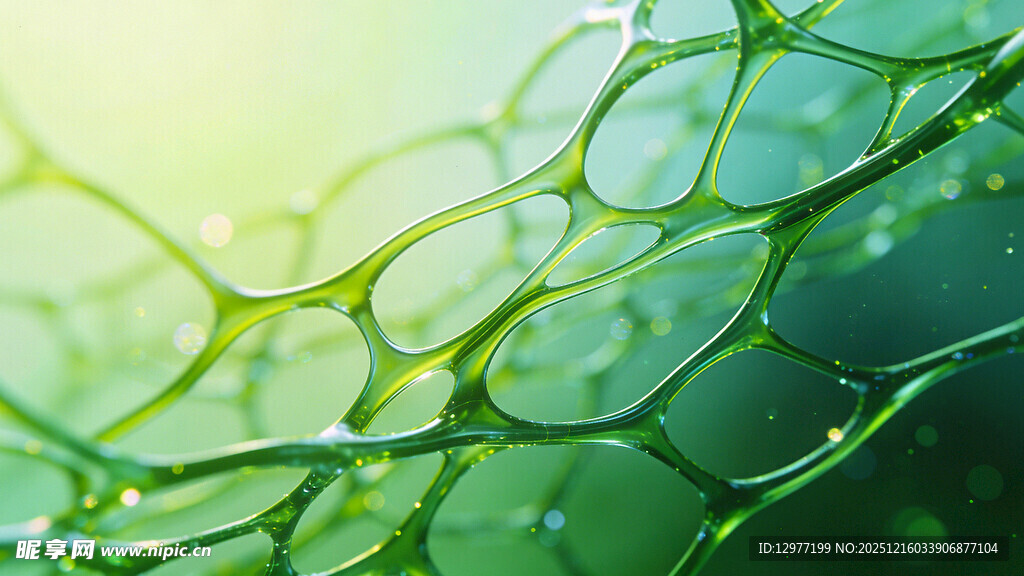 微观下的绿色植物细胞结构