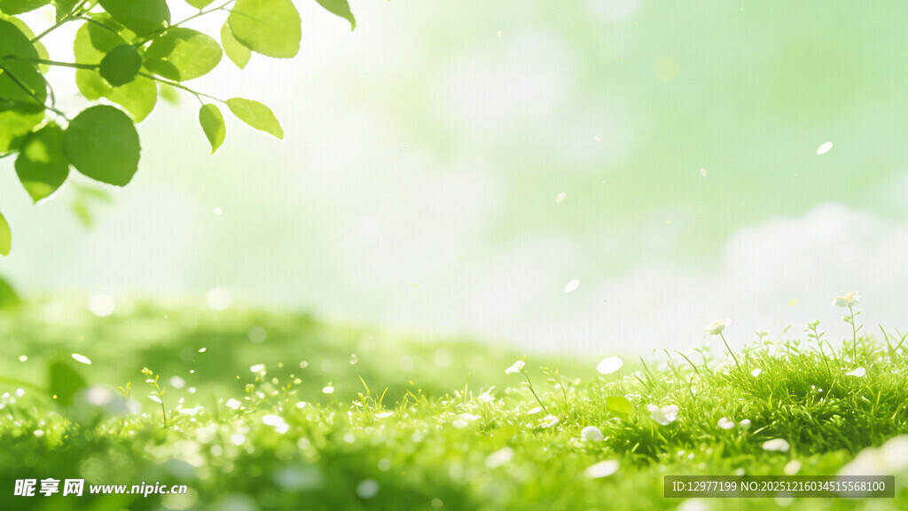 春日绿意盎然的清新草地