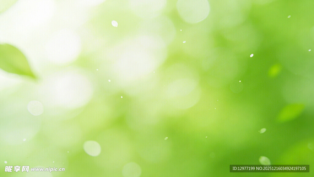 清新绿意背景图