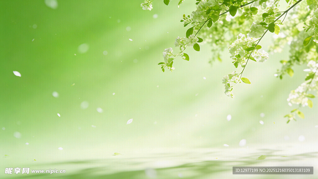 清新绿意自然背景图