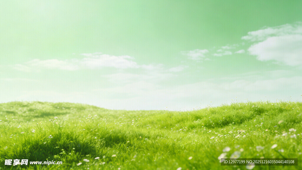 绿意盎然的草原风光