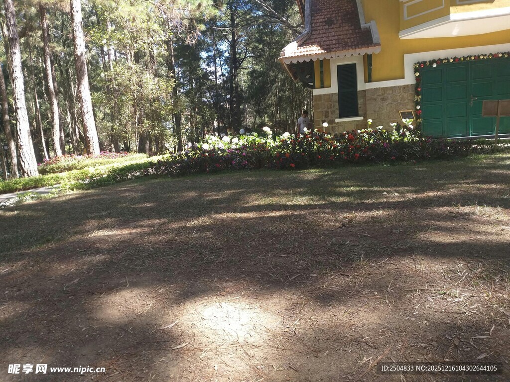 阳光洒落的林间庭院一角