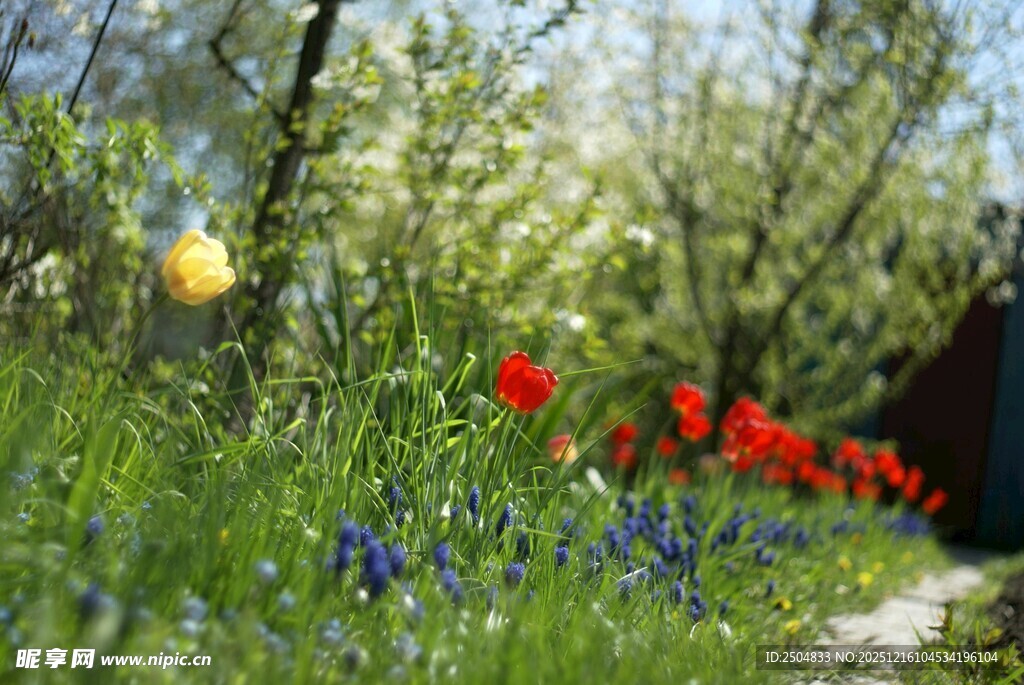 春日烂漫花丛小径