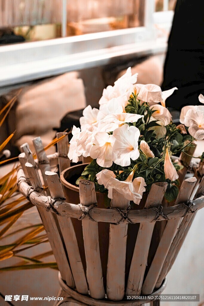 精致花篮中的柔美花卉