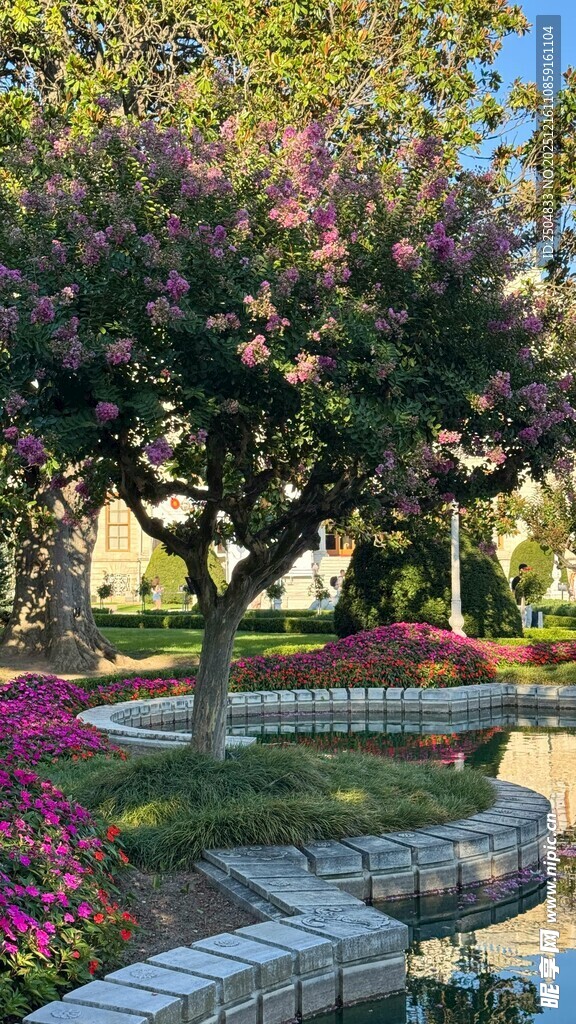 花园中的多彩景致
