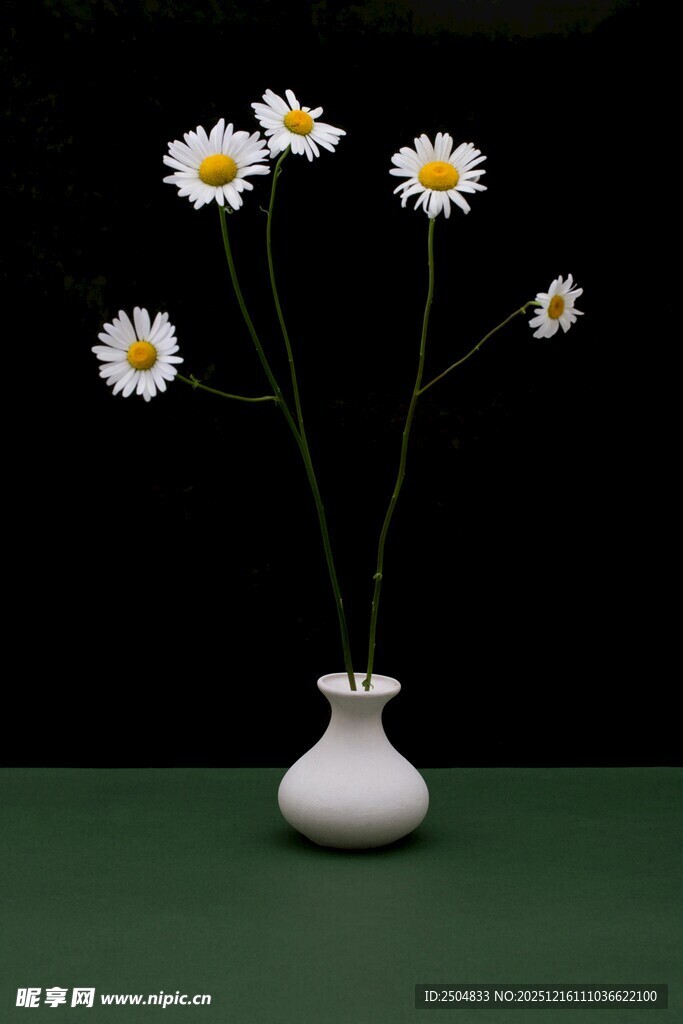 白色花瓶插着清新小雏菊