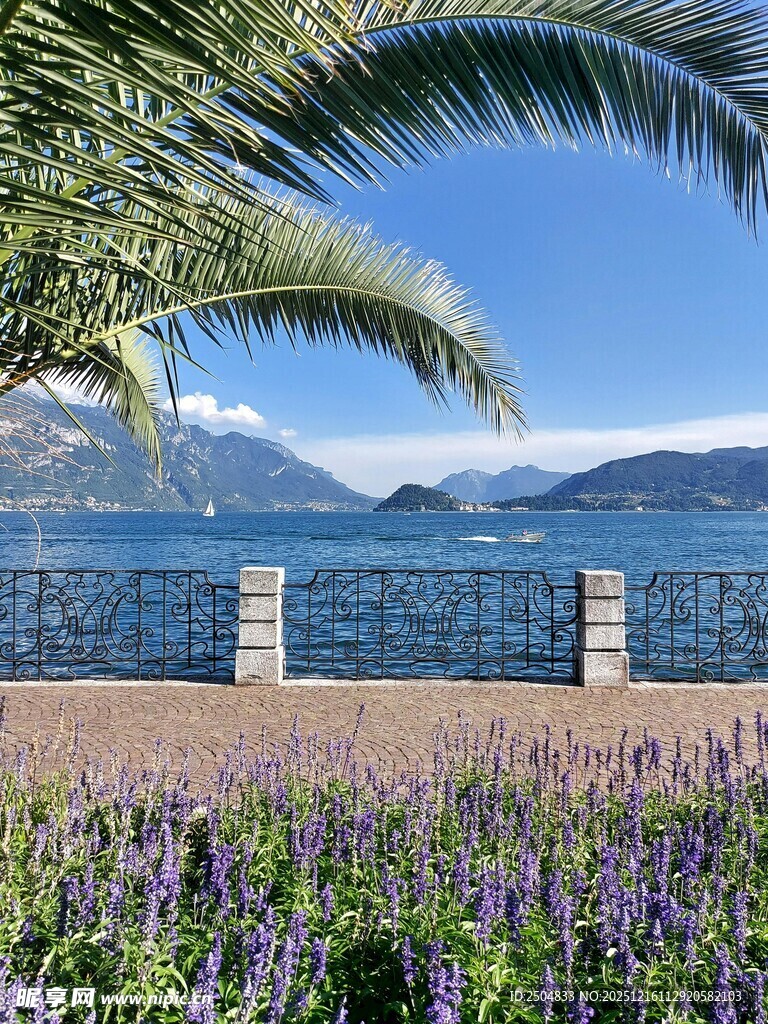 湖畔花海与棕榈树美景