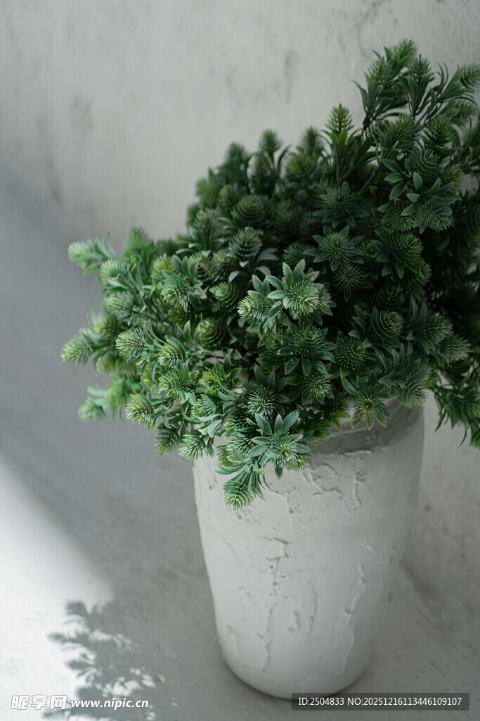 白色花盆中的翠绿植物