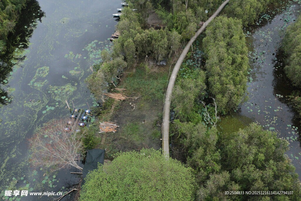 蜿蜒公路穿行于葱郁林间