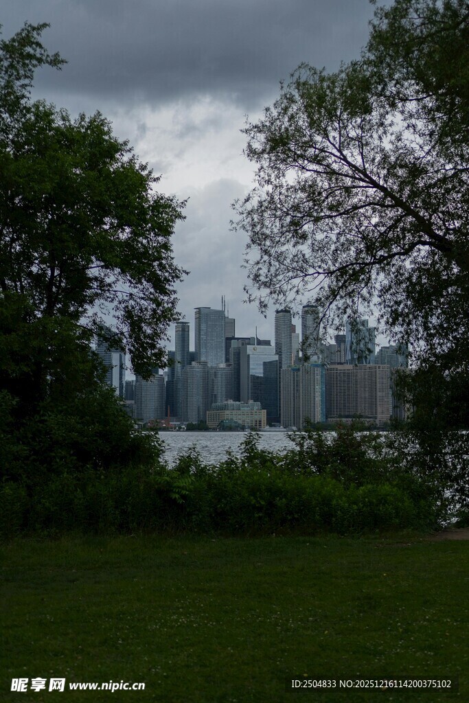 城市天际线与绿植景观