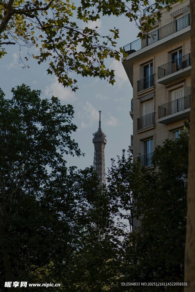 透过树木望城市建筑