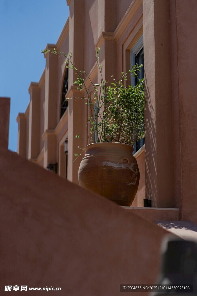 建筑边的绿植陶罐景观