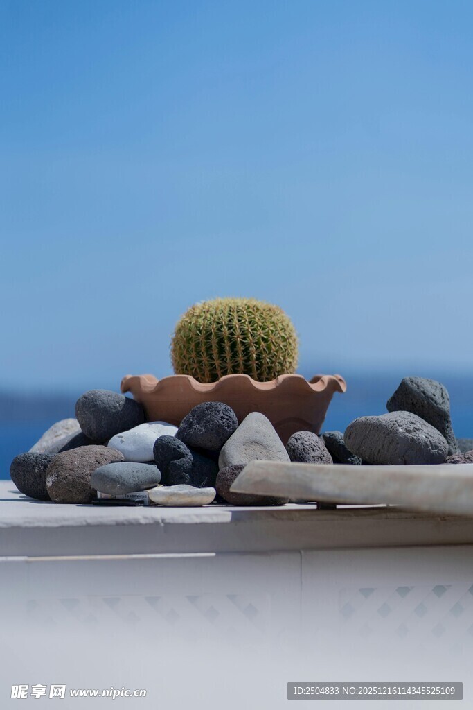 石上仙人掌 蓝天作背景