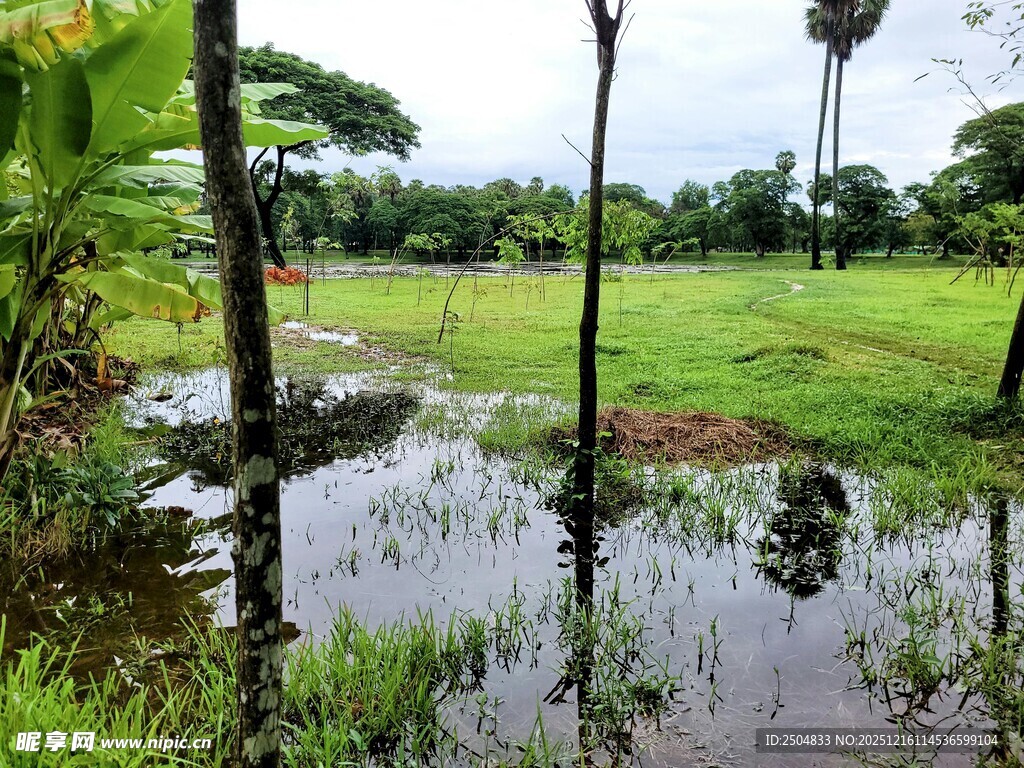 乡村积水的湿润农田景象