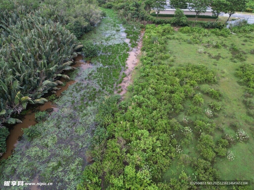 俯瞰绿意盎然的自然景观