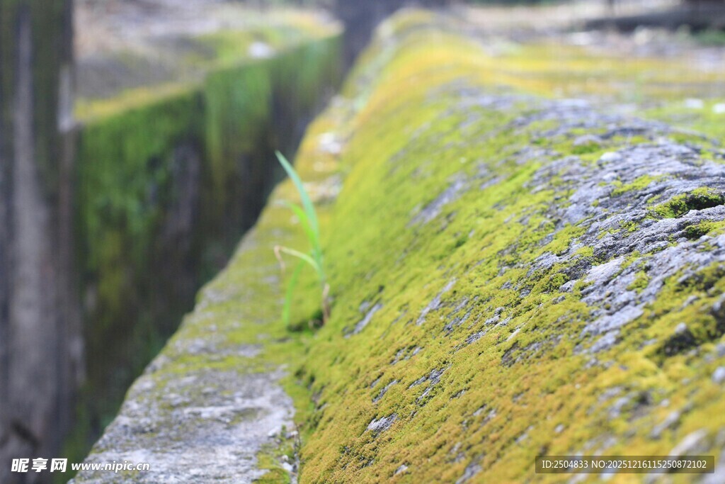 长满青苔的古老石砌沟渠
