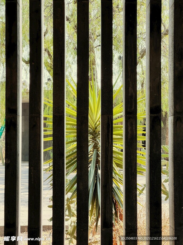 透过栅栏看绿植景观